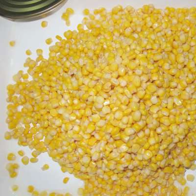 Canned sweet corn wholesale